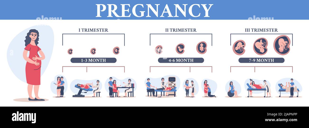 Pregnancy childbirth timeline flat composition with isolated icons of ...