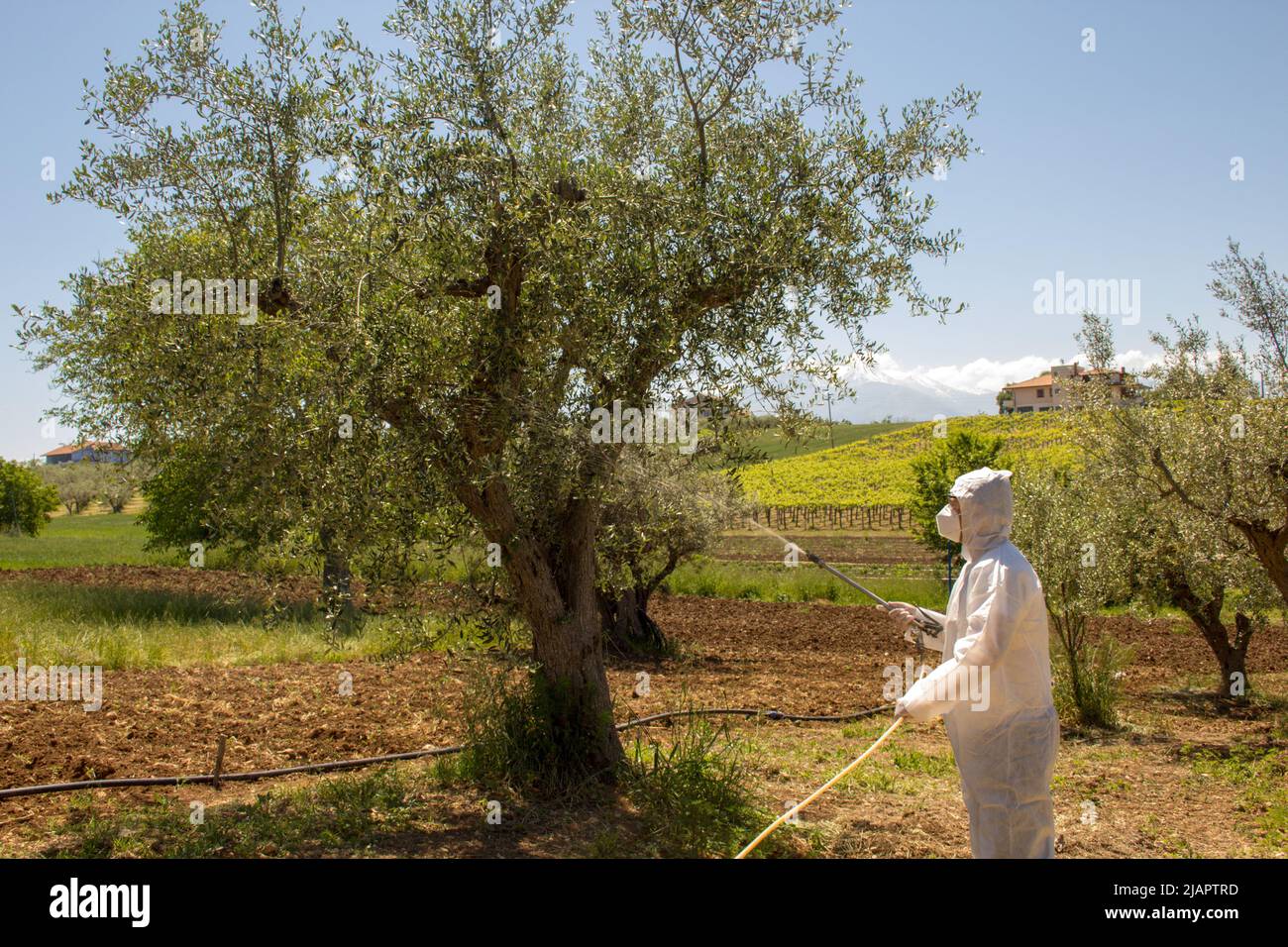 Picture of a farmer in a field wearing safety gear while spraying