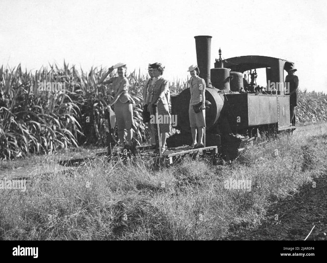 1946 Miss Australia Rhonda Kelly tours Bingera Plantation Stock Photo