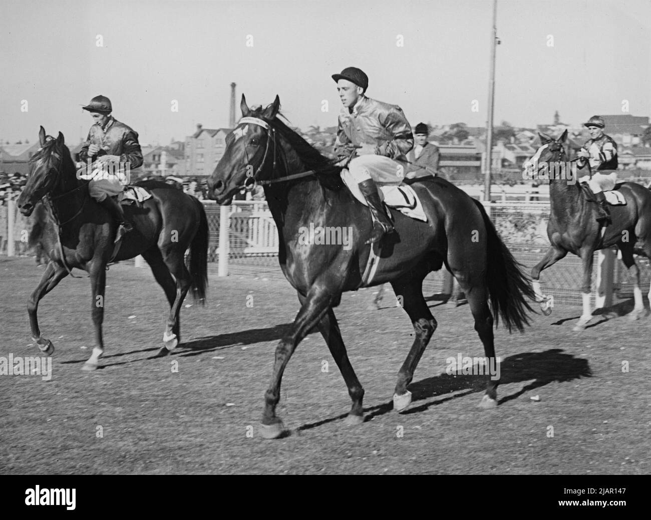 Bernborough,1946 Tatts Chelmsford Stakes Jockey Athol Mulley Stock ...