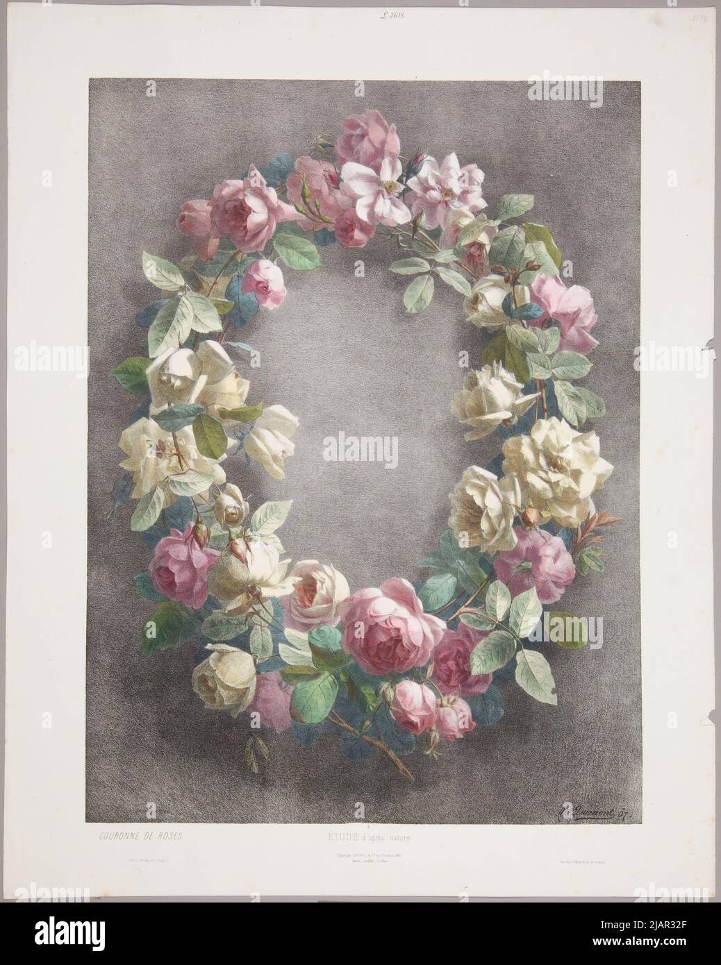 Crown of roses / Korona Z pink  pl. 5. From the series Study of Ames Nature [Colored Version], Paris  London  La Haye  Berlin  New York, 1861, print. Lemercier, ed. Goupil & Cie  M. Knoedler Dumont, Victor (Fl. 1856 1861), Imprimerie Lemercier (Pary), Goupil & Cie, Knoedler, Michael (1823 1878) Stock Photo