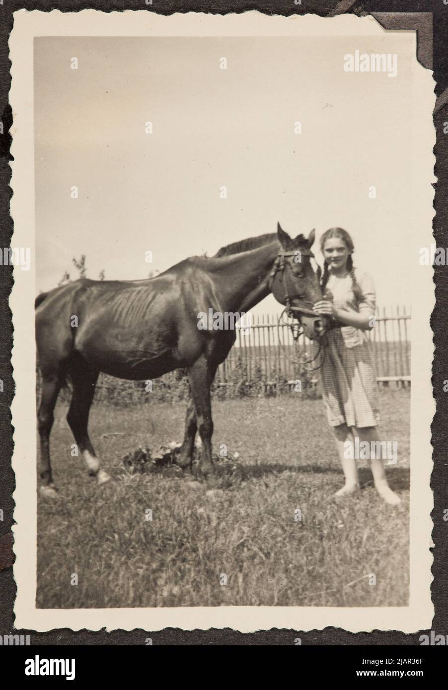 A young girl with long braids  in a bright summer dress  standing next to the horse Circle of the Stachiewicz family Stock Photo