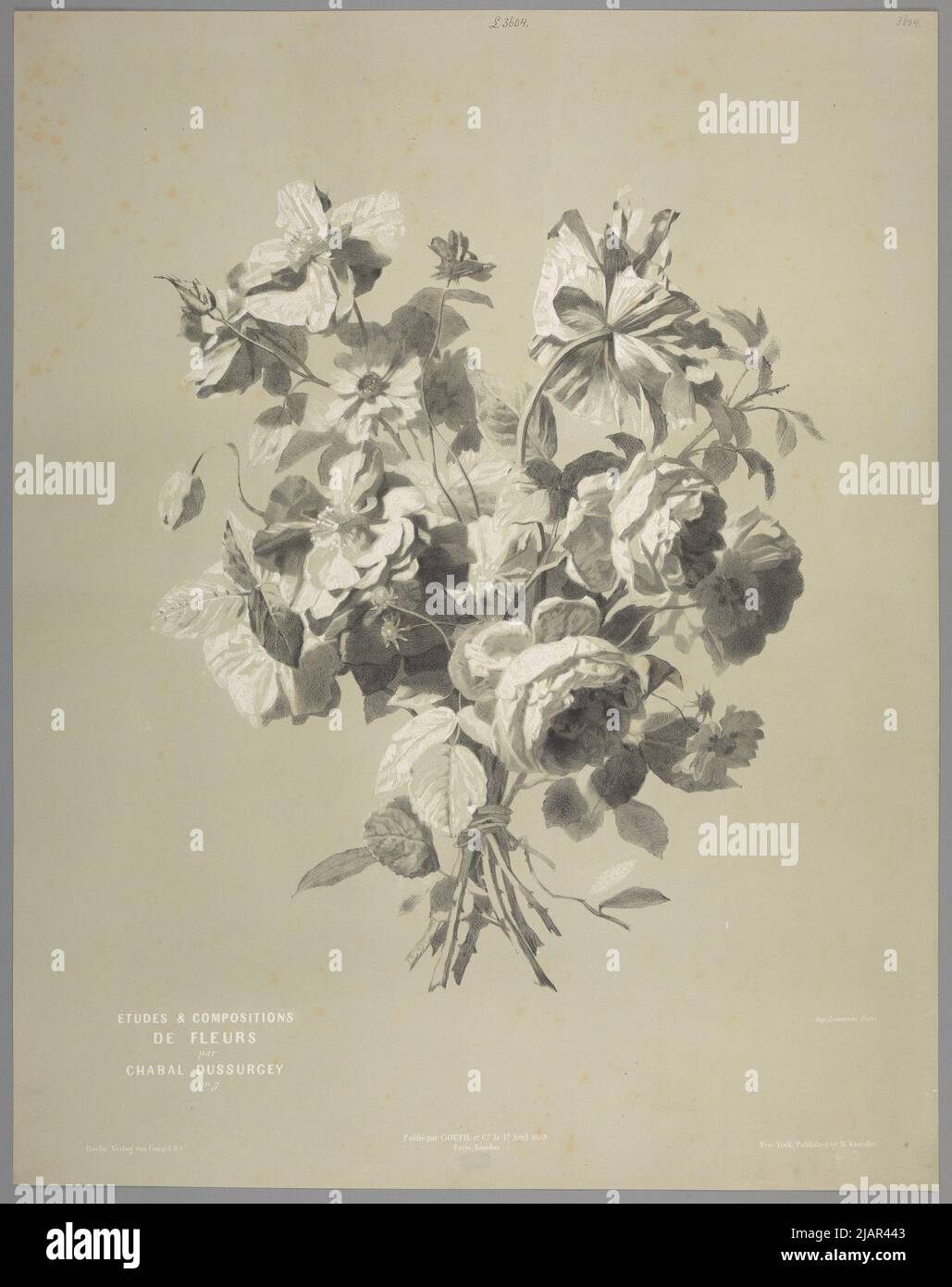 [Bouquet of Roses and Poppies]  Pl. 3. From the series Studies & Flowers compositions by Chabal Dussurgey, Paris London Berlin New York, 1859/1865, lit. Lemercier & Cie, ed. Goupil & Cie Chabal Dussurgey, Pierre Adrien (1819 1902), W A C. Pierre Adrien Chabal, imp. Lemercier & Cie, Goupil & Cie, Knoedler, Michael (1823 1878) Stock Photo