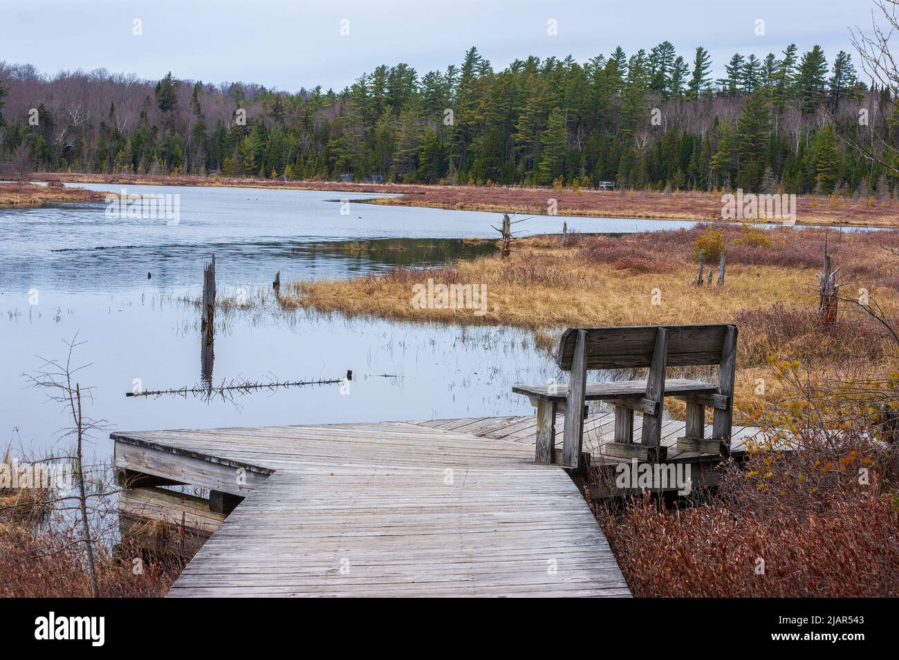 Heron Marsh. Freshwater wetlands in Adirondack Mountains. Bench on an observation platform. Paul Smith's College Visitor Interpretive Center, New York Stock Photo