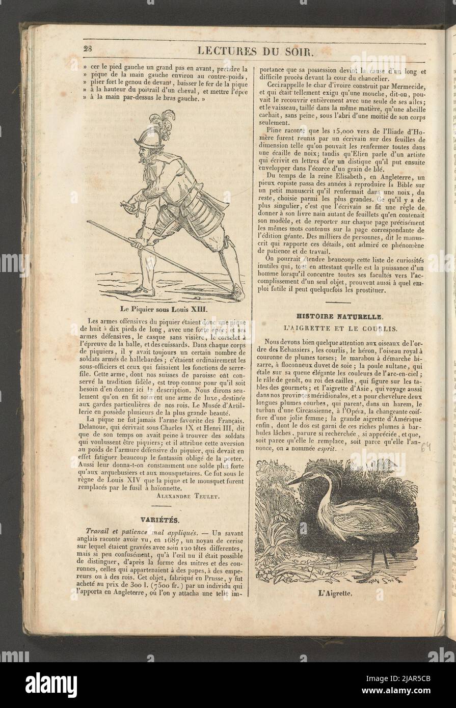 Yearbook 2, Notebook 4, January 1834 Pikinier Louis XIII and Czapla, Two Illustrations for Articles: Military history And natural history In: Musee des Familles, evening reading. T. 1. (Year 1 and 2) Paris, [1833 1834]. unknown Stock Photo