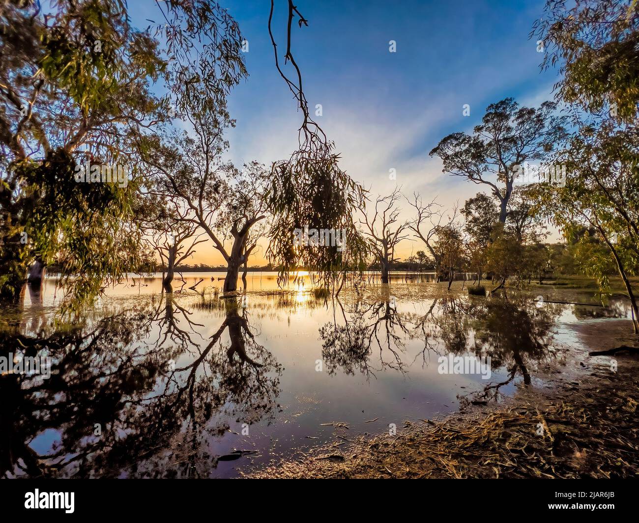 Blue sky and sunset with trees in silhouette and their reflections on a ...