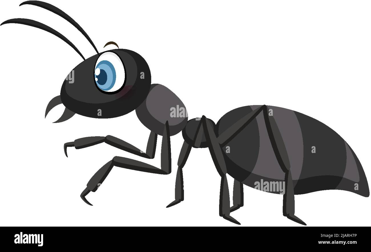 Black ant isolated on white background illustration Stock Vector