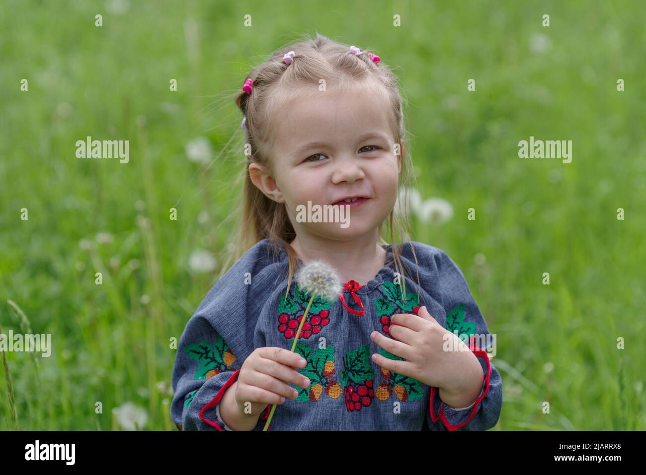 2 years old Caucasian girl picking a dandelion Stock Photo