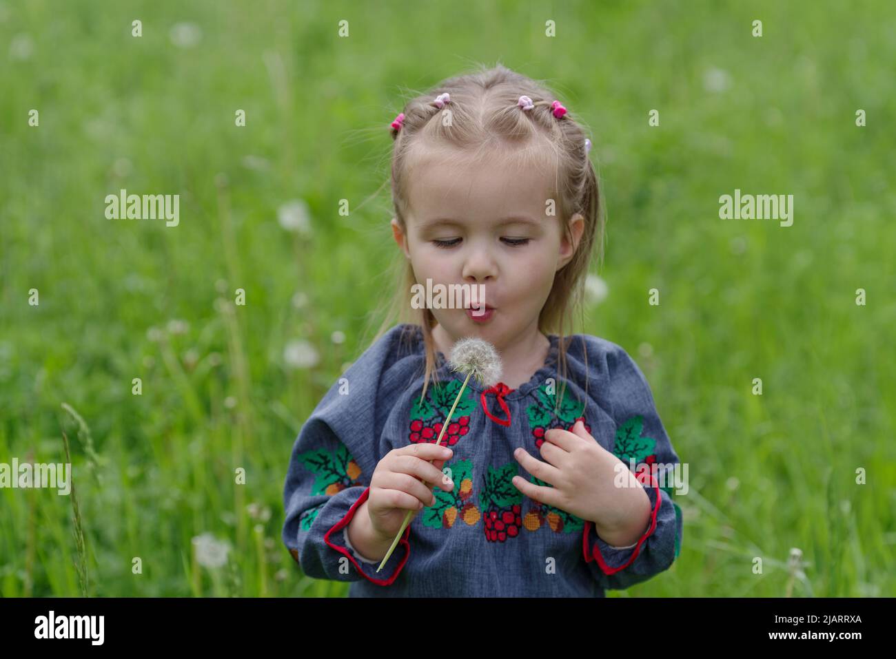 2 years old Caucasian girl picking a dandelion Stock Photo