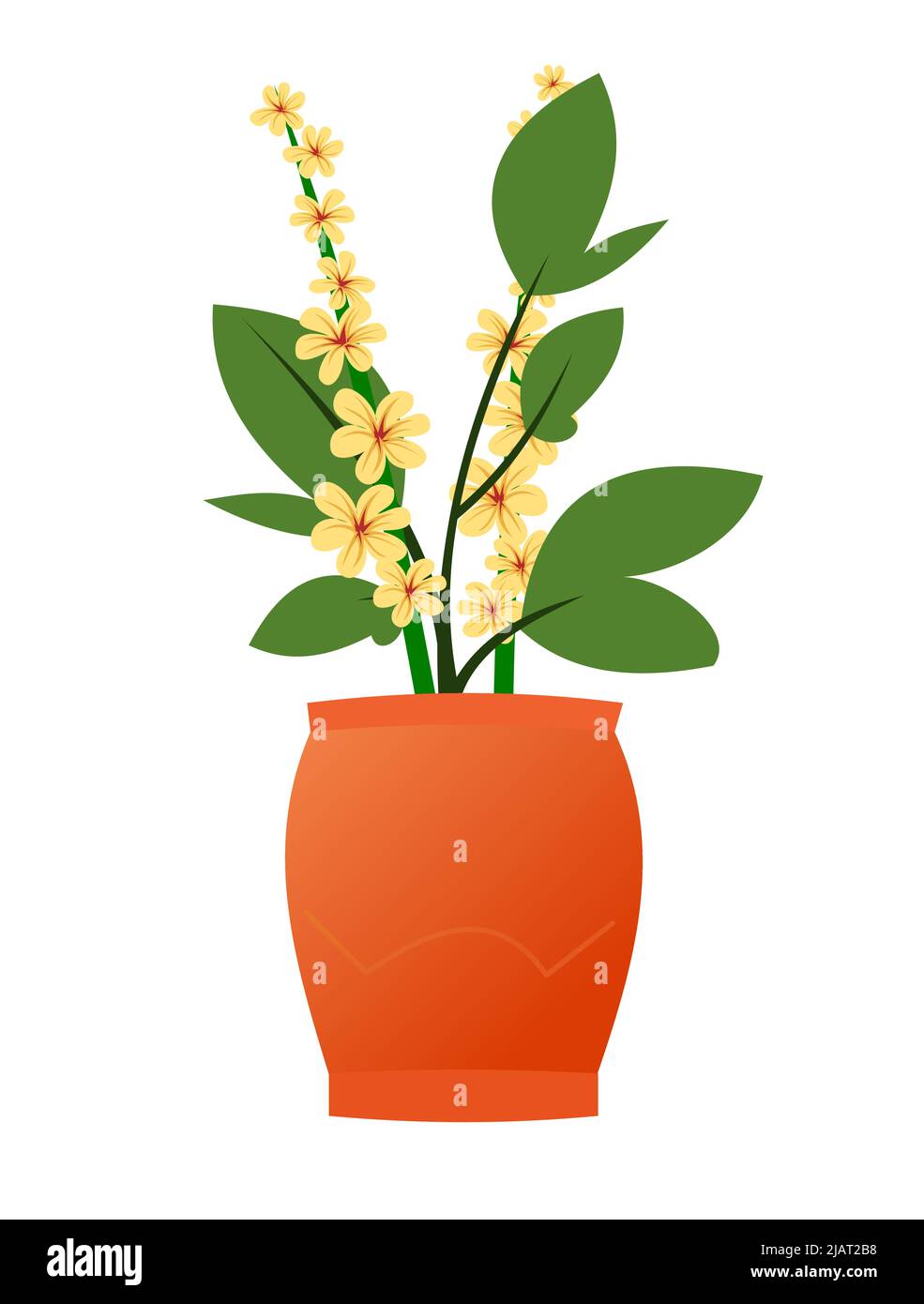 Gentle Indoor plants and flowers. In ceramic pots. Homemade beautiful herbs. Isolated on white background. Cartoon fun style. Vector. Stock Vector