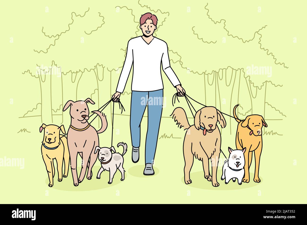 Smiling man walking dogs on leashes in park. Happy male walker provide