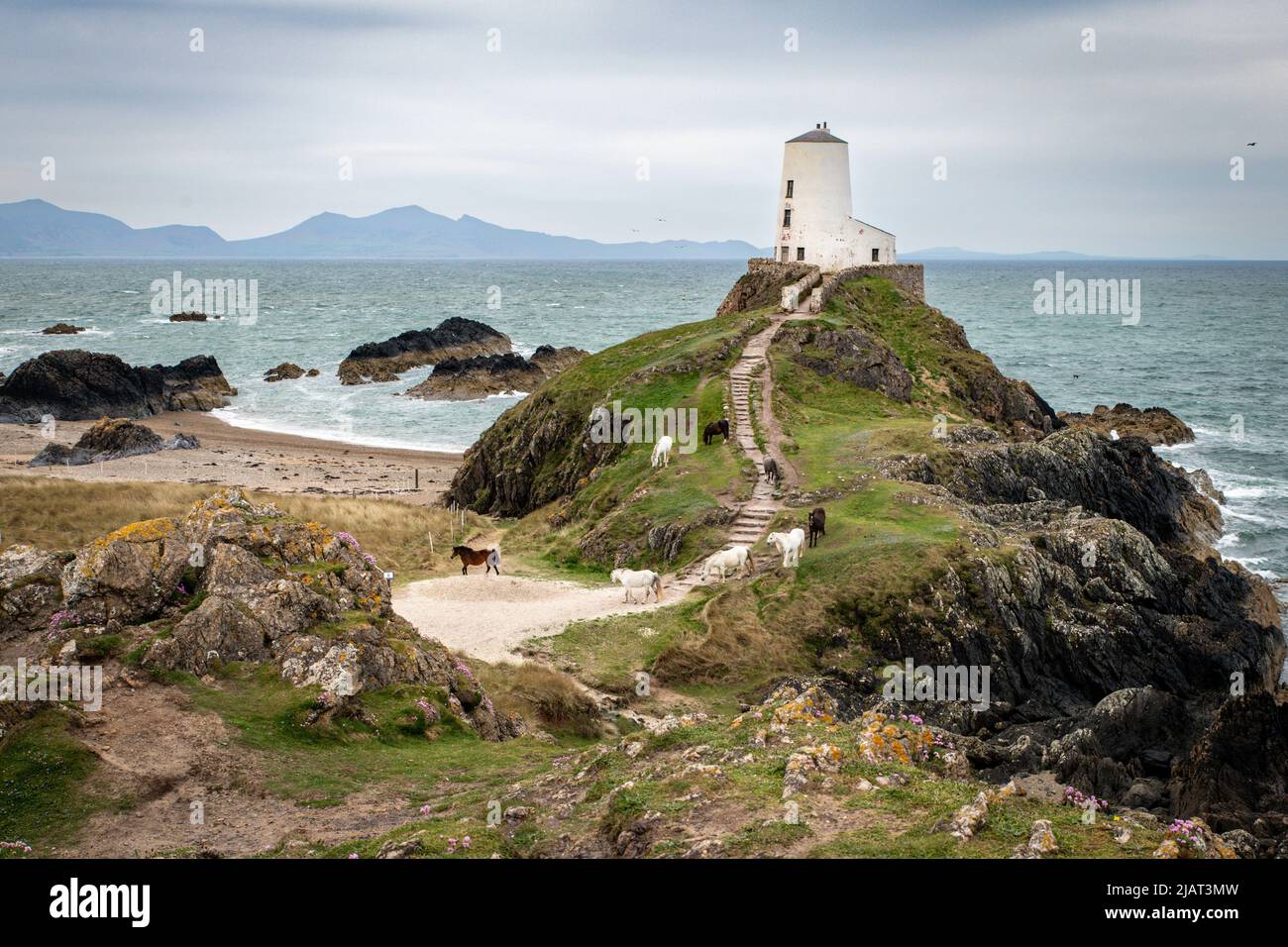 Twr Mawr lighthouse, Anglesey, North Wales Stock Photo