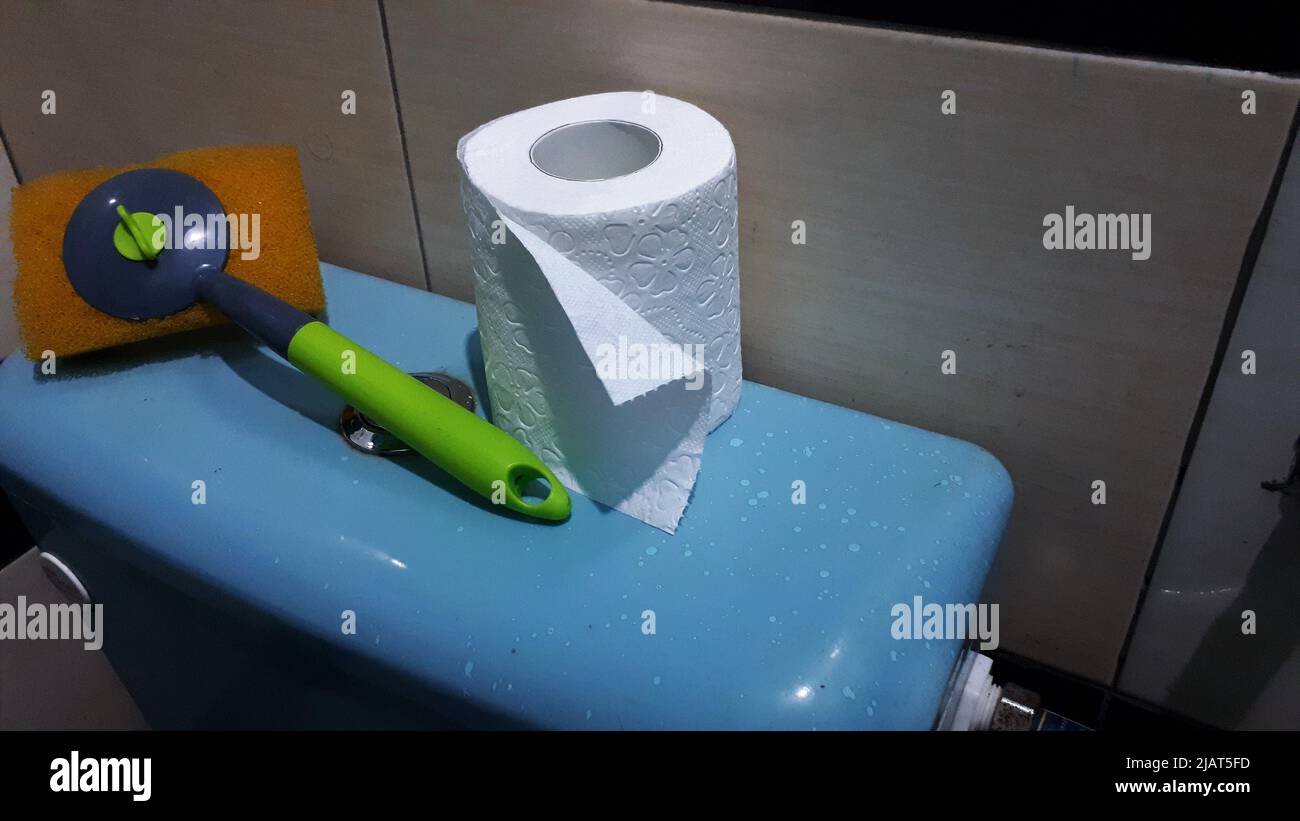 Toilets tissue and sponge scrubber on the toilet tank Stock Photo Alamy