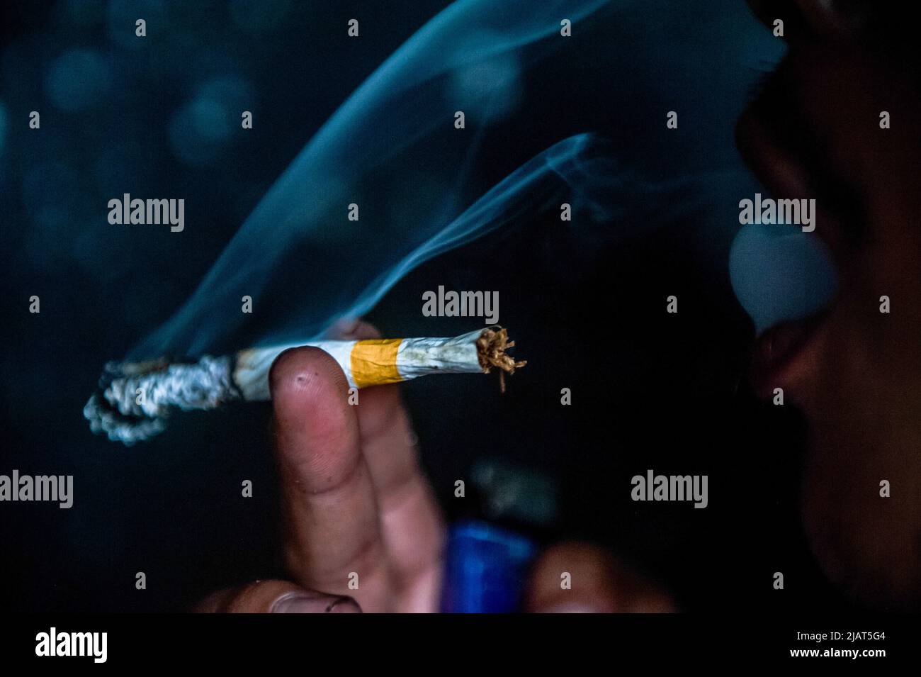 javanese tobacco Javanese tobacco hi-res stock photography and images