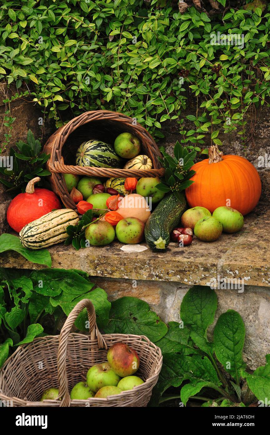 Portrait of a selection of autumn garden produce. Stock Photo