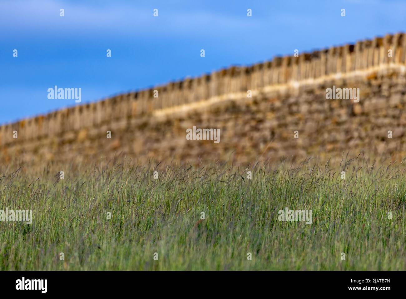 Dry stone wall in Bury countryside. Stock Photo