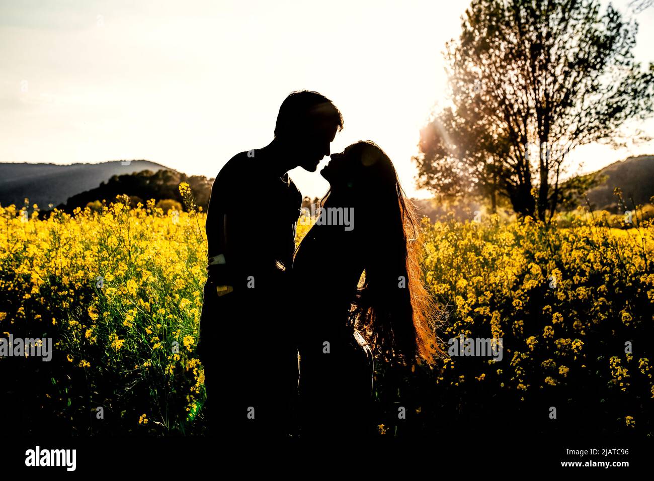 Two hands touching silhouette hi-res stock photography and images - Alamy