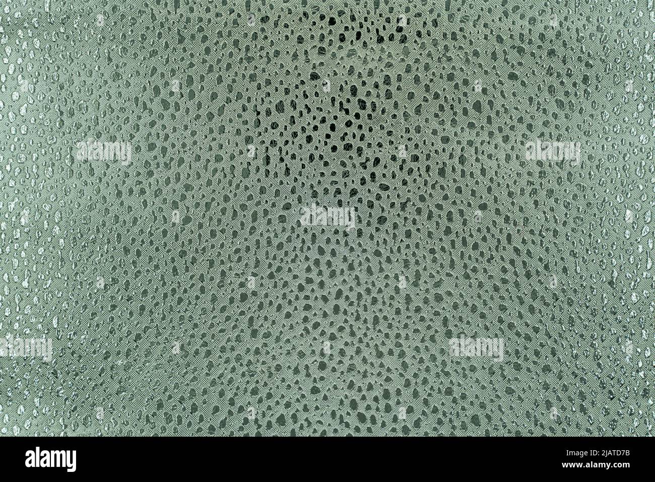 Silver sequins sparkling background. Glitter texture. High quality photo Stock Photo