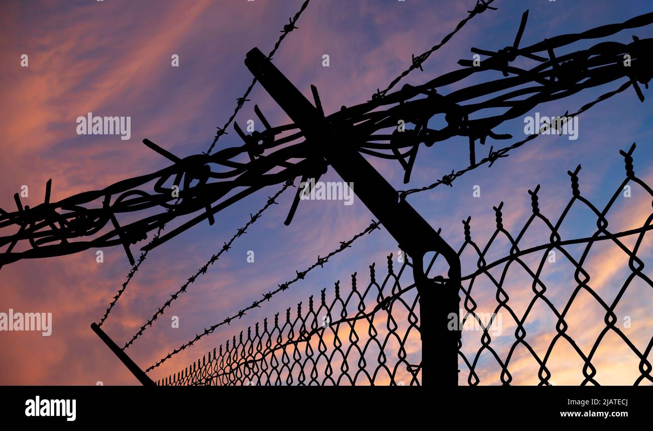 Сontour of barbed wire on the background of the sunset orange sky Stock ...