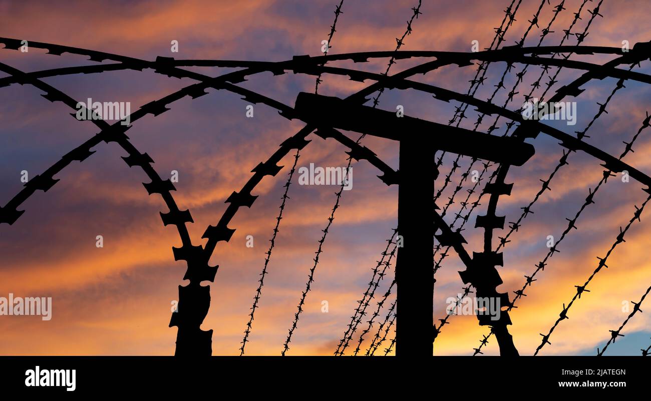 Сontour of barbed wire on the background of the sunset orange sky Stock ...