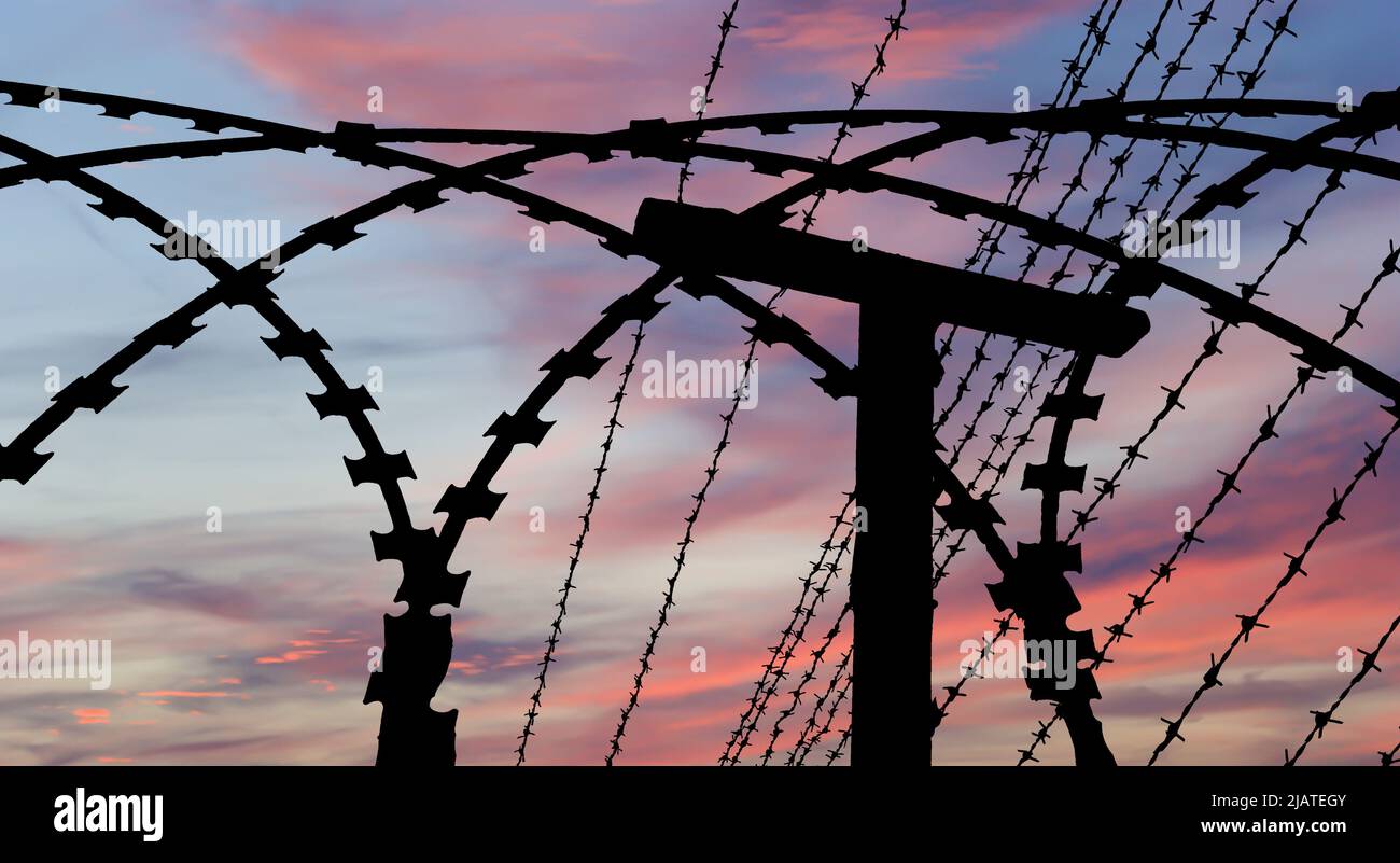 Сontour of barbed wire on the background of the sunset orange sky Stock ...