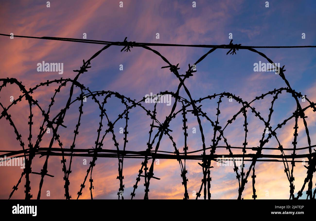 Сontour of barbed wire on the background of the sunset orange sky Stock ...