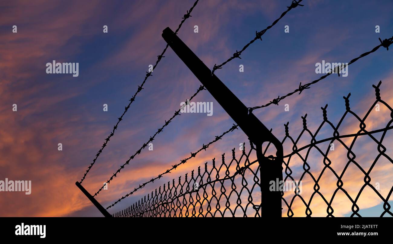 Сontour of barbed wire on the background of the sunset orange sky Stock ...