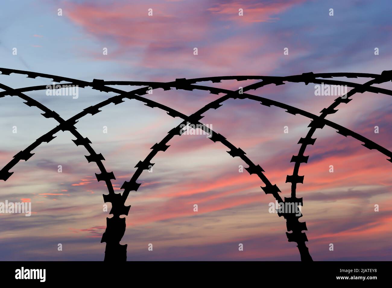 Сontour of barbed wire on the background of the sunset orange sky Stock ...