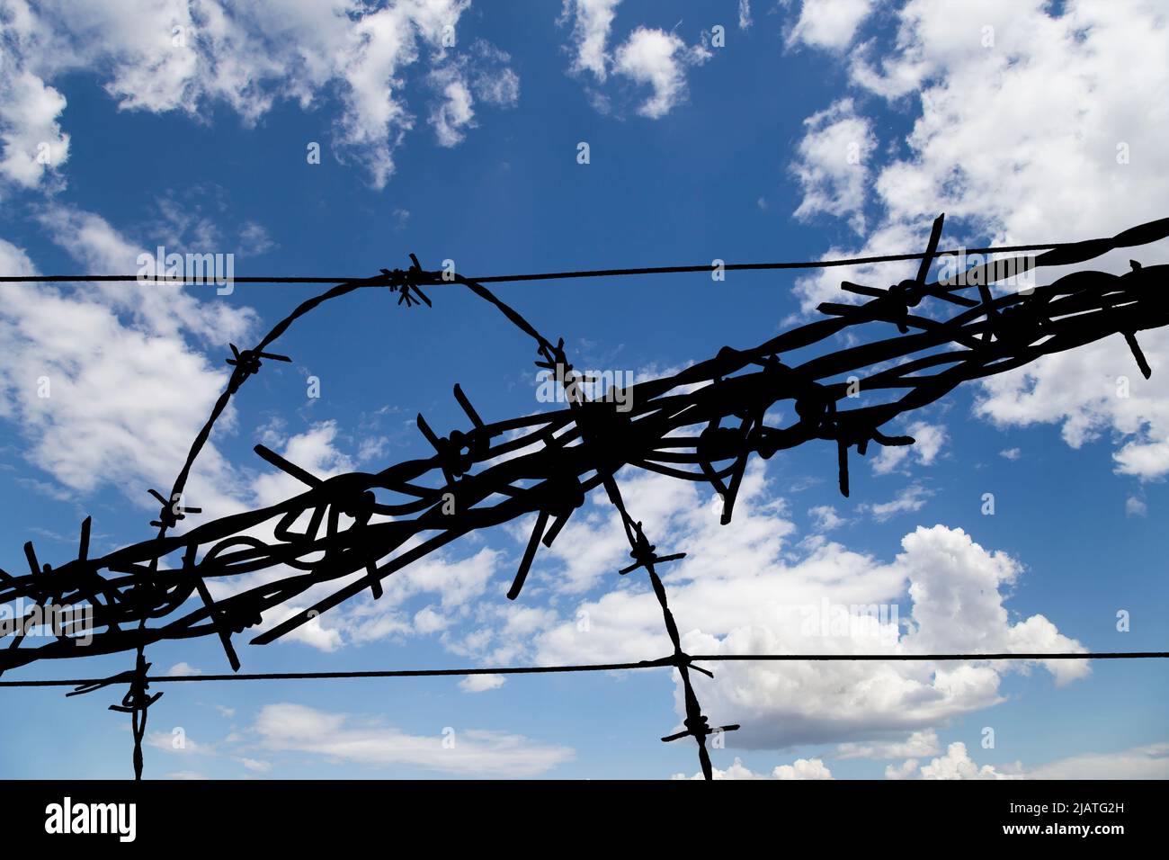 Сontour of barbed wire on background beautiful clouds and sky Stock ...