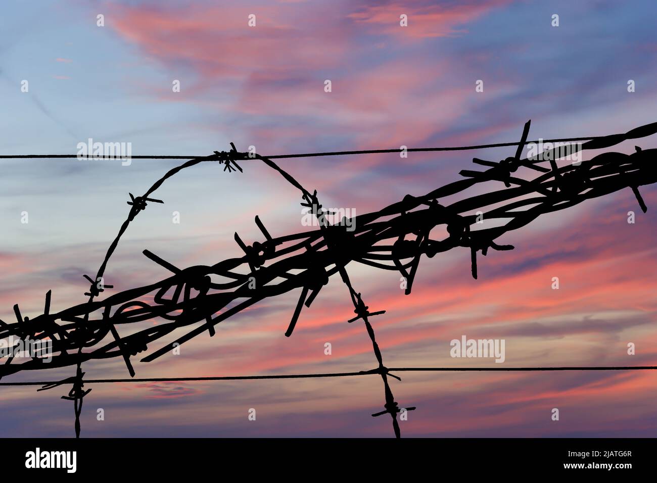 Сontour of barbed wire on the background of the sunset orange sky Stock ...