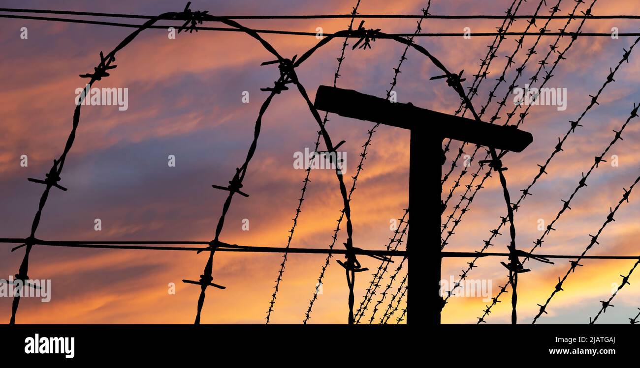 Сontour of barbed wire on the background of the sunset orange sky Stock ...