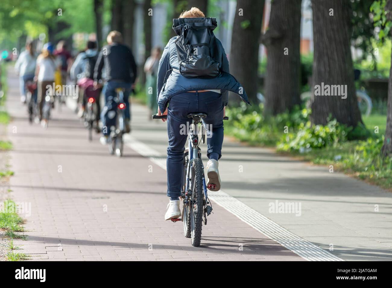 cyclists on a bike path in an avenue Stock Photo