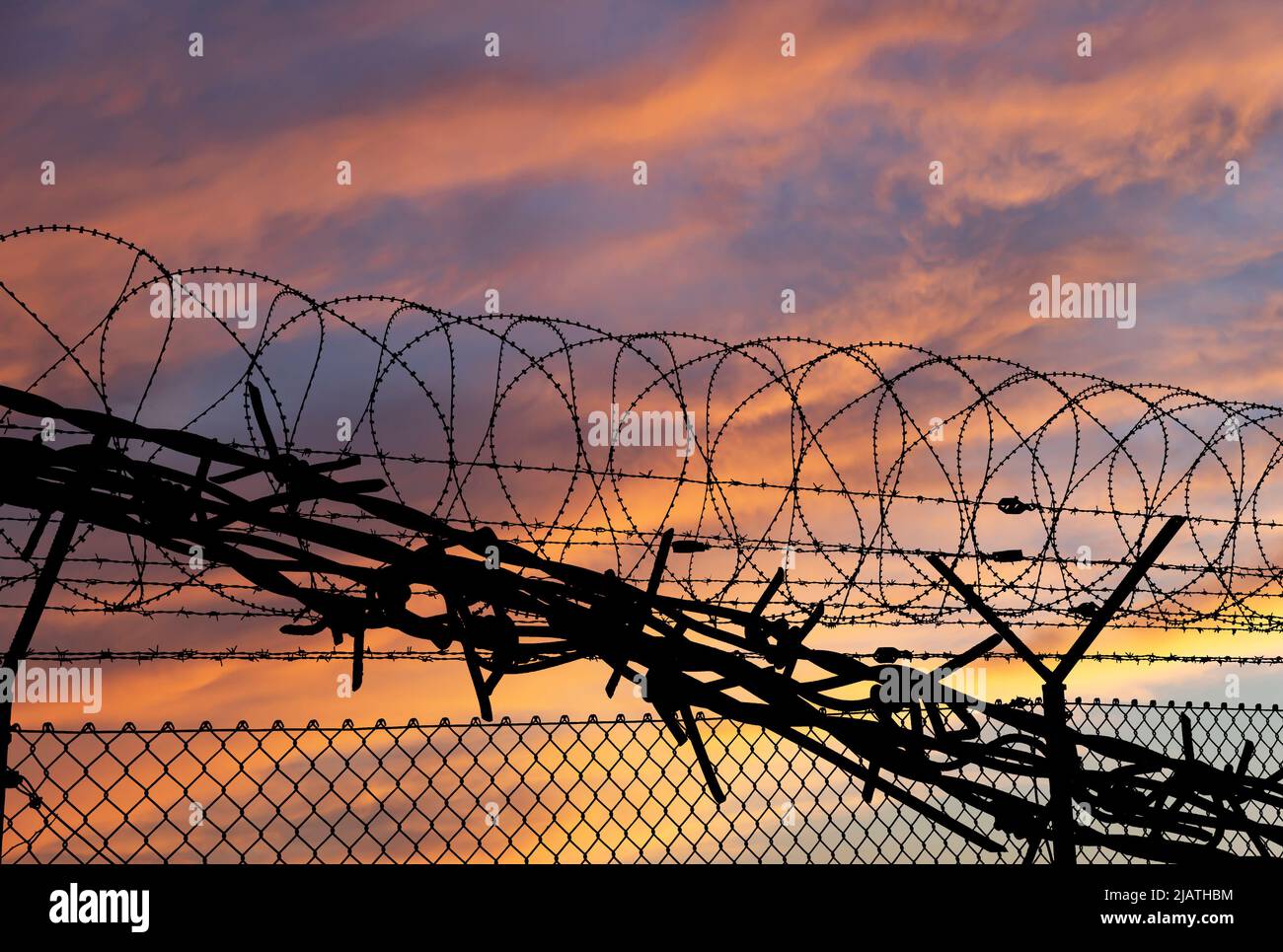 Сontour of barbed wire on the background of the sunset orange sky Stock ...