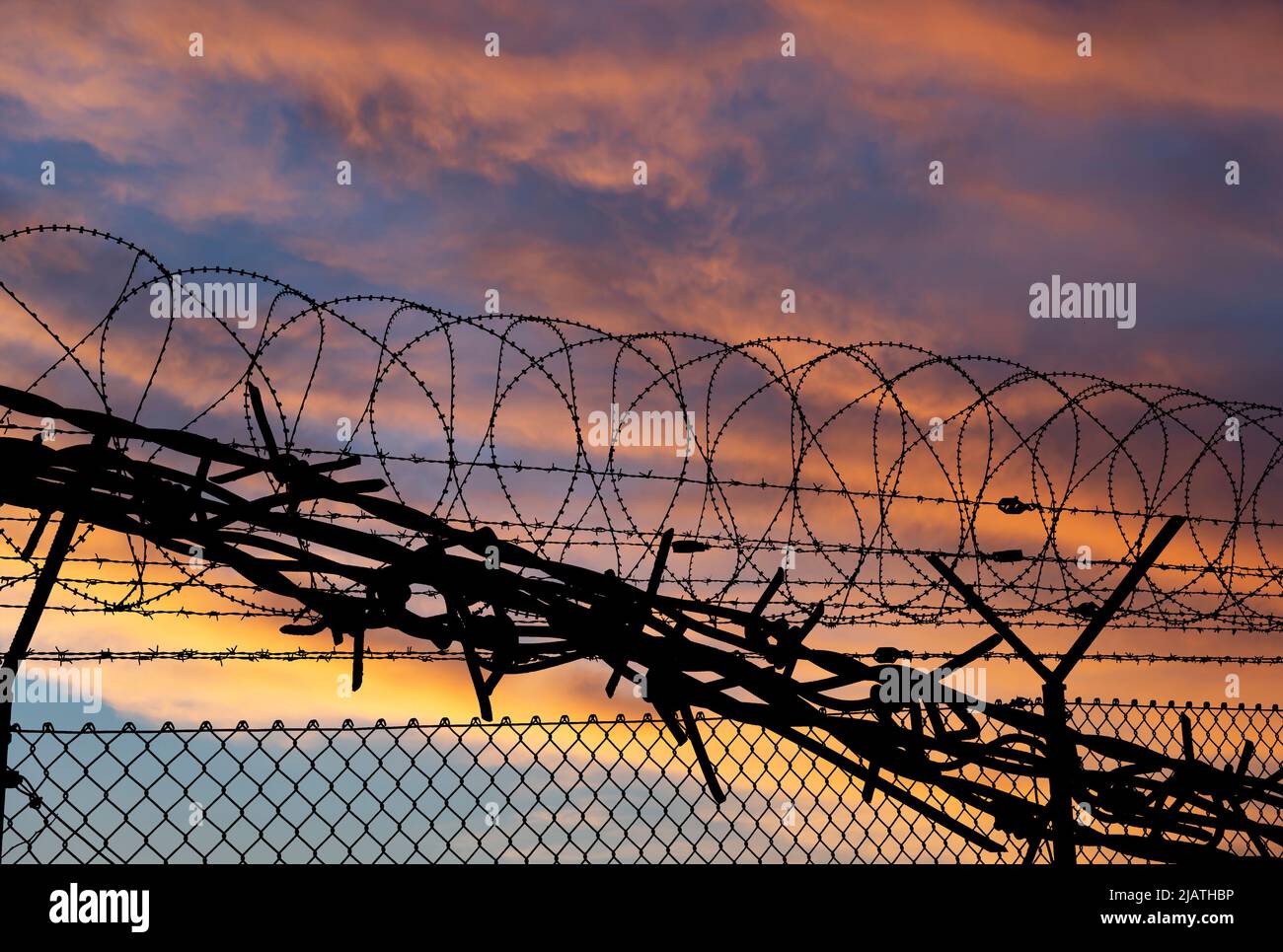 Сontour of barbed wire on the background of the sunset orange sky Stock ...