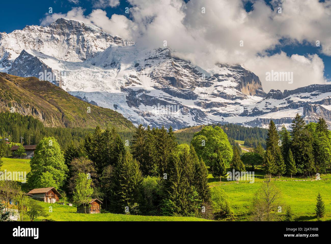 Snowcapped Jungfrau, Wengen, Canton of Bern, Switzerland Stock Photo Alamy
