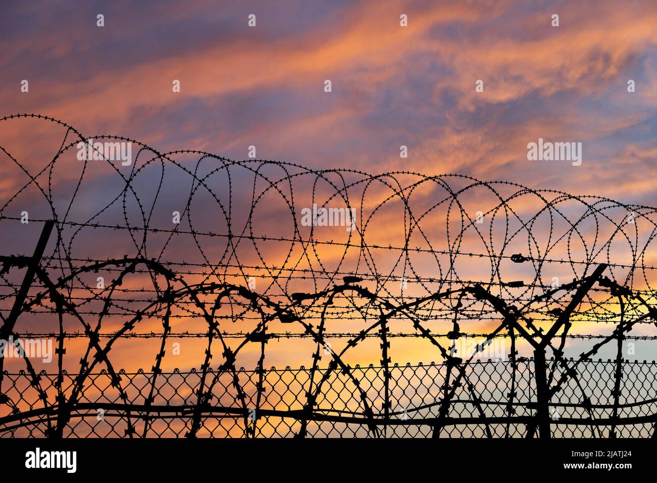 Сontour of barbed wire on the background of the sunset orange sky Stock ...