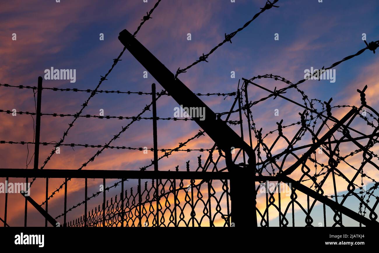 Сontour of barbed wire on the background of the sunset orange sky Stock ...