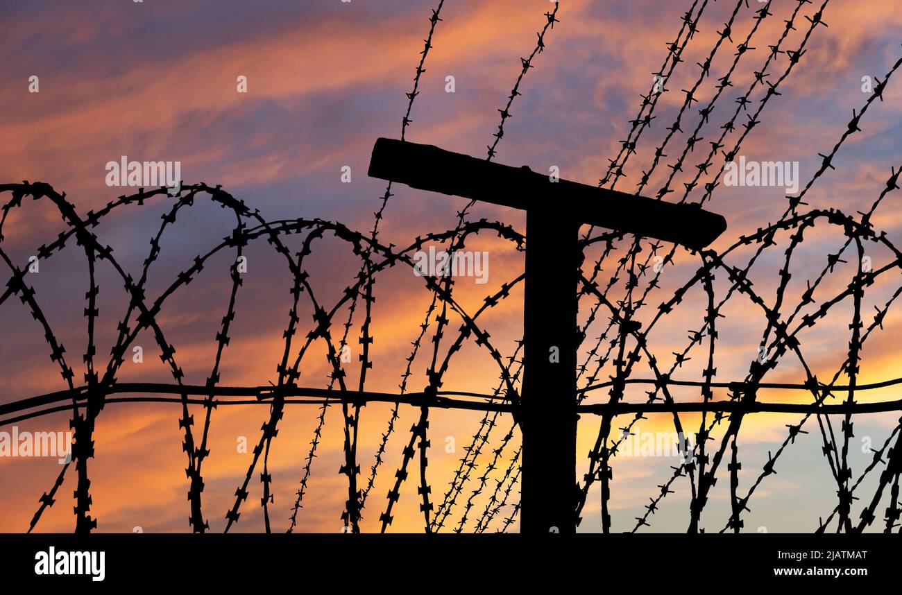 Сontour of barbed wire on the background of the sunset orange sky Stock ...