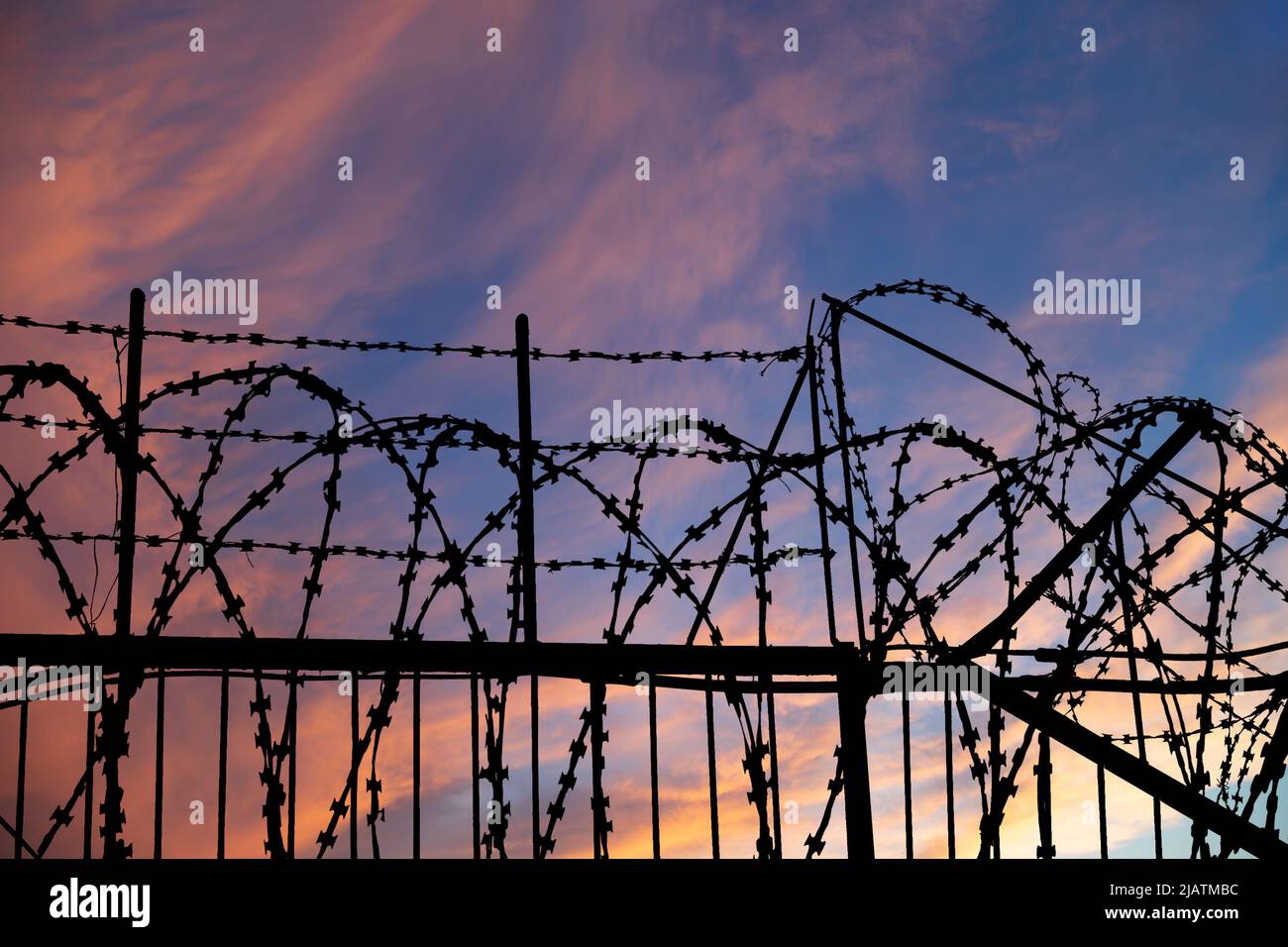 Сontour of barbed wire on the background of the sunset orange sky Stock ...