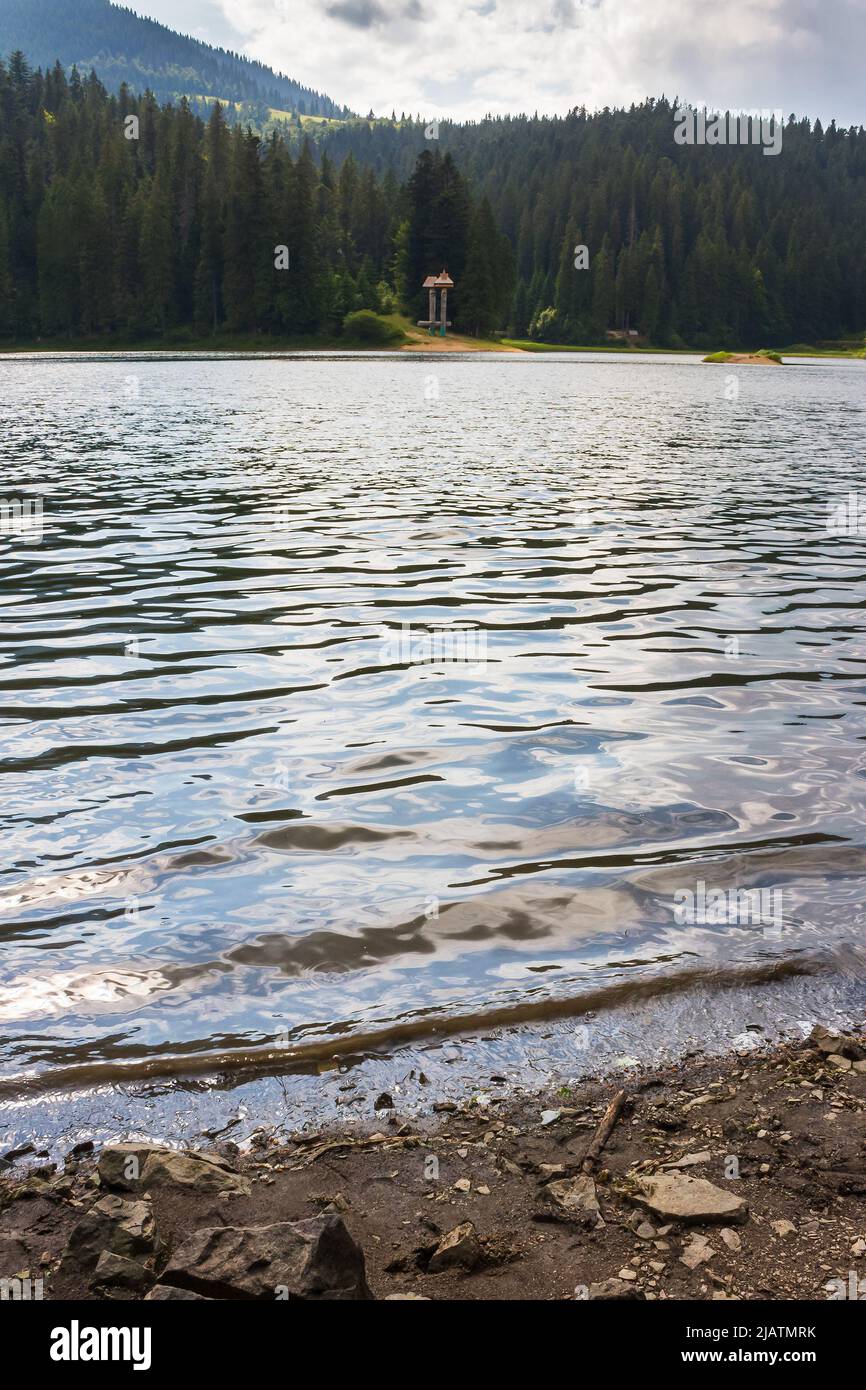 synevyr lake that falls in to tereblya river. tranquil landscape with forest reflection in the water. beautiful travel nature background. green outdoo Stock Photo