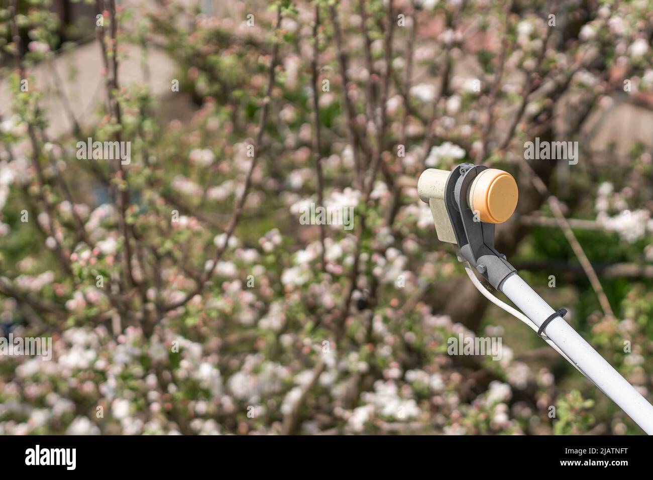 satellite dish at home in a flower garden Stock Photo Alamy