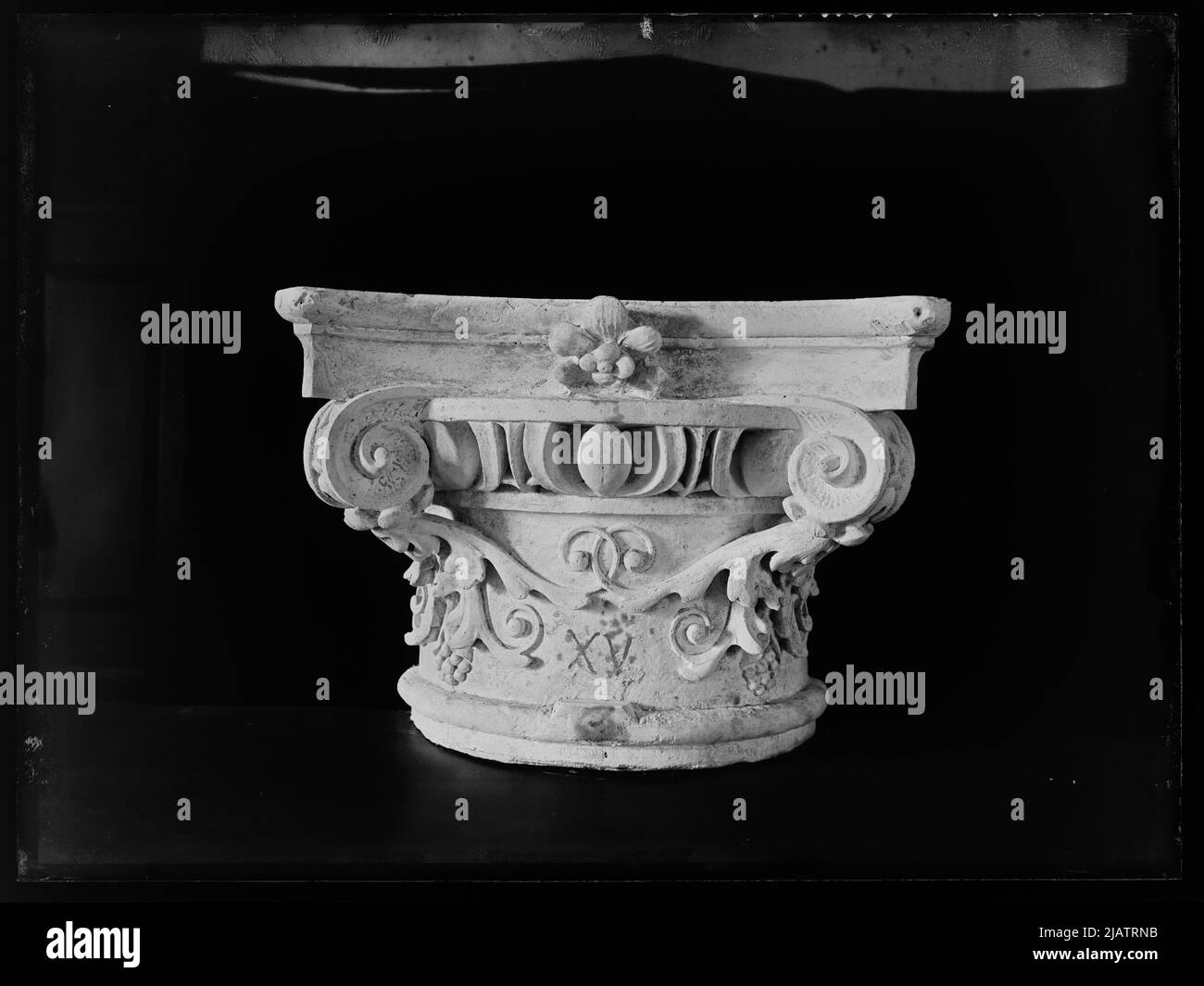 Understanding evolution Black and White Stock Photos & Images - Alamy