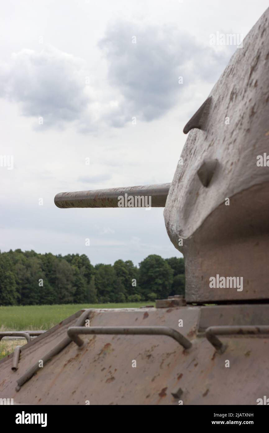 Historic tank from World War II in background is forest Stock Photo