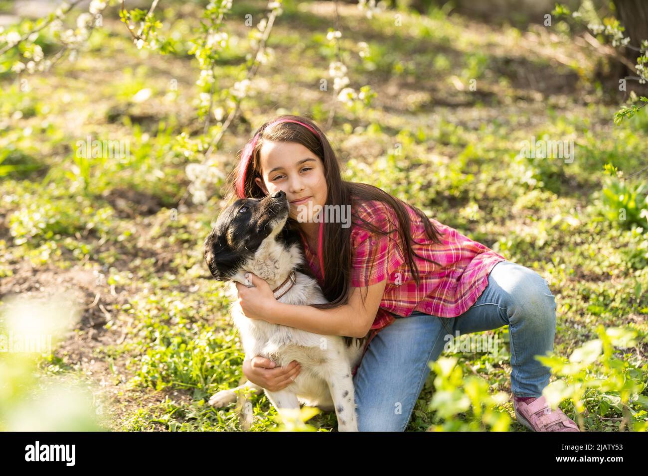 little girl with a dog, outdoor summer Stock Photo - Alamy
