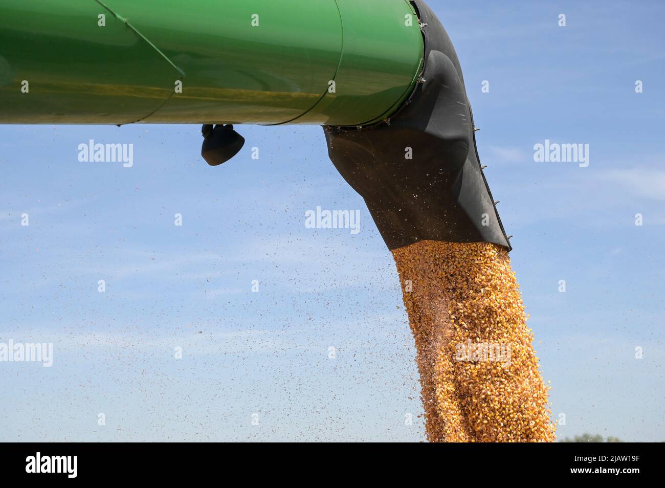 CROATIA, Osijek, agricultural company Fermopromet, maize harvest with John Deere combine harvester / KROATIEN, Osijek, Maisernte mit John Deere Mähdrescher des Agrarunternehmens Fermopromet Stock Photo