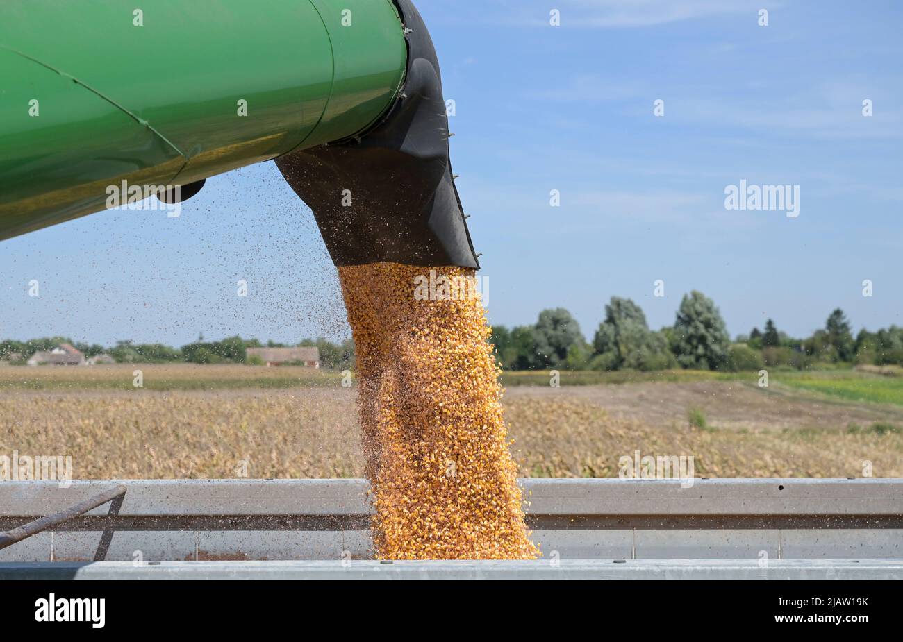 CROATIA, Osijek, agricultural company Fermopromet, maize harvest with John Deere combine harvester / KROATIEN, Osijek, Maisernte mit John Deere Mähdrescher des Agrarunternehmens Fermopromet Stock Photo