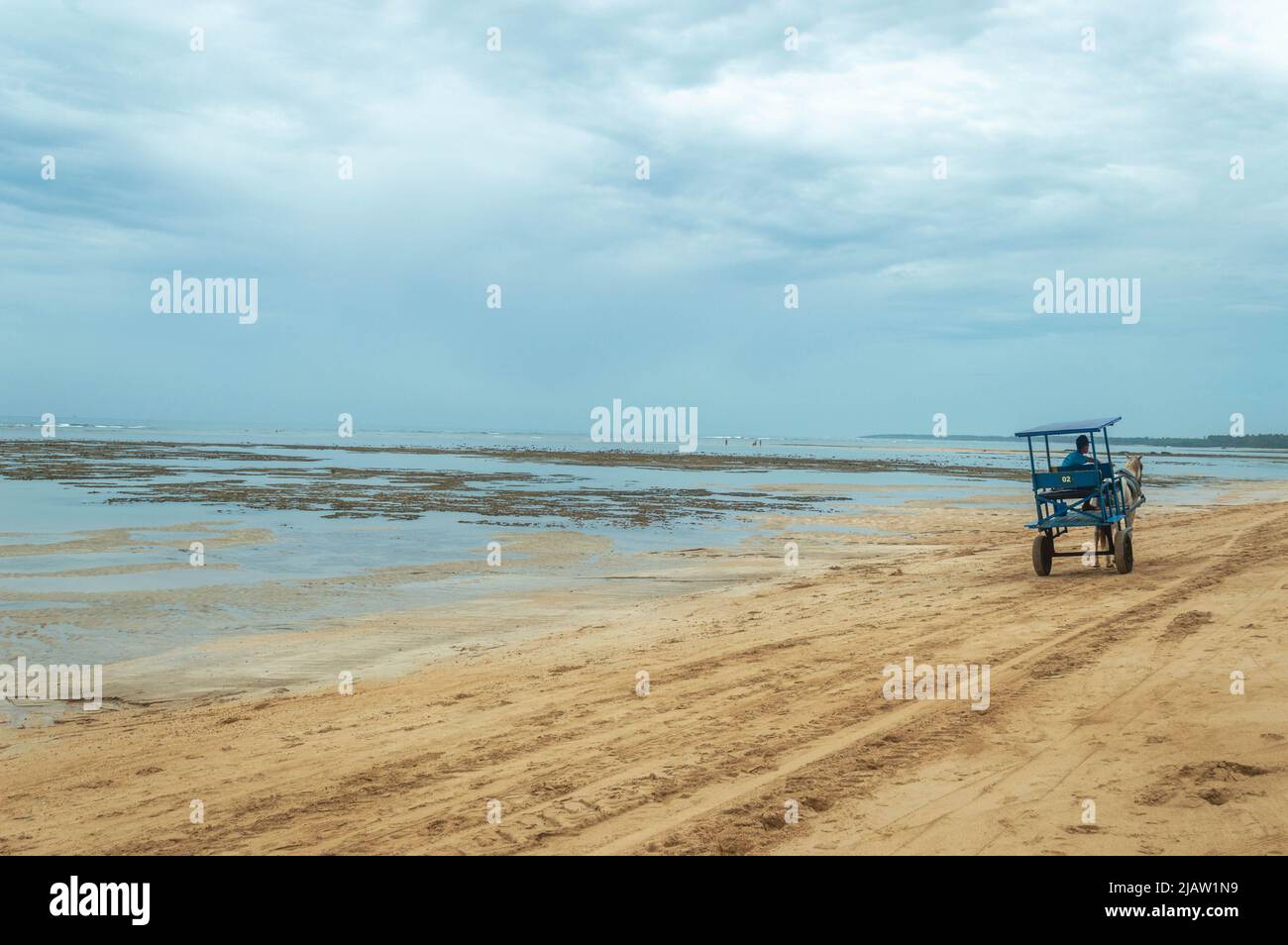 carriage with horse on the beach Stock Photo