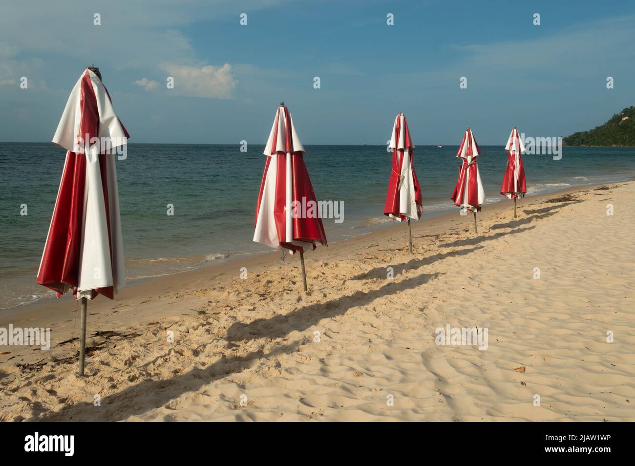 umbrellas on a beach Stock Photo