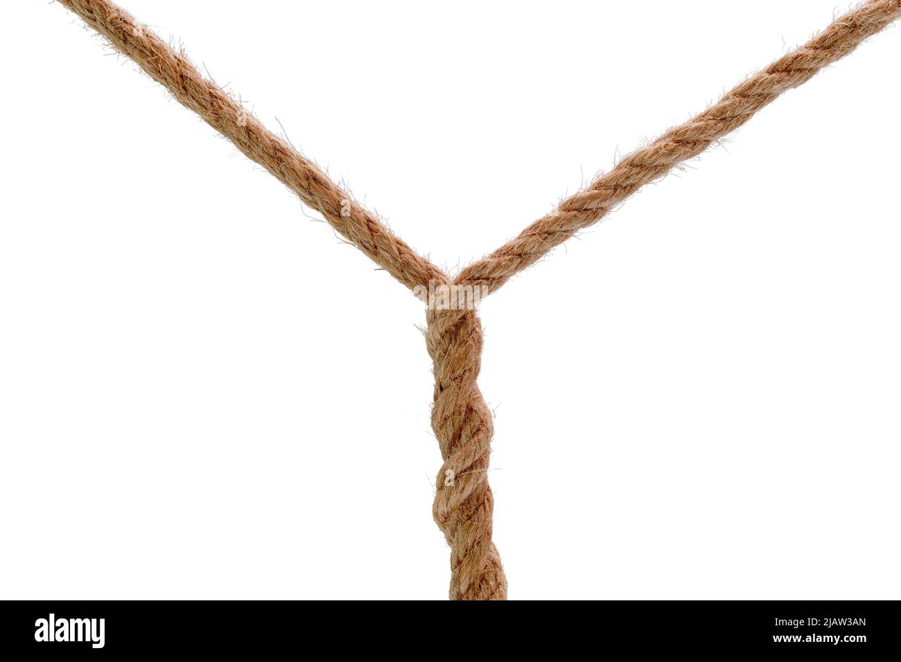 Two twisted Y-shaped link of the tense ropes isolated  tense diagonal ropes cross section. Isolated on white Stock Photo