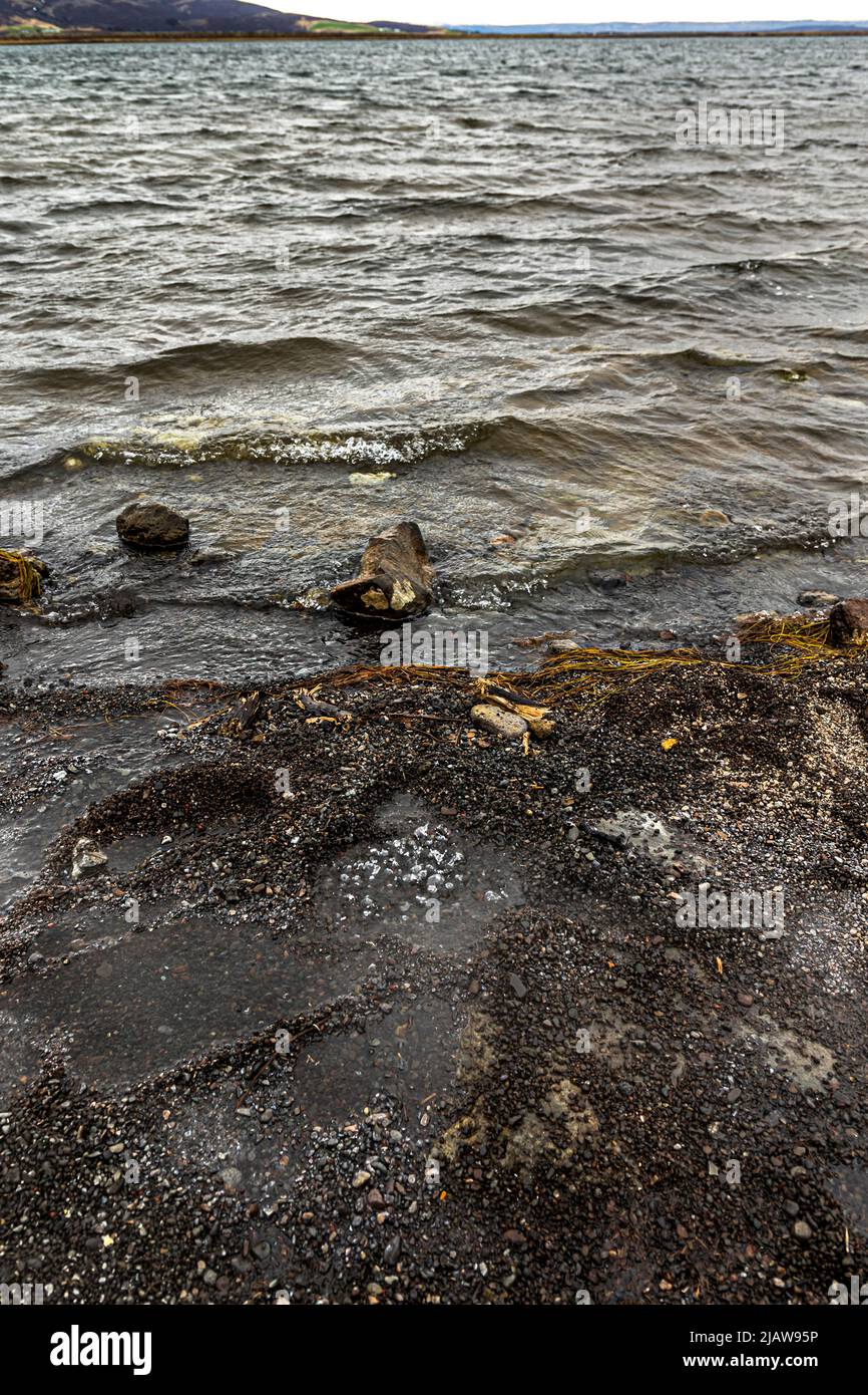 Geothermal baking Icelandic rye bread in Laugarvatn Fontana, Iceland